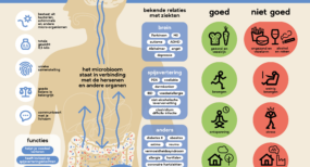 https://www.buikbelang.nl/wp-content/uploads/sites/4/2024/10/illustratie_microbioom_darm-hersenen_def-285x154.png